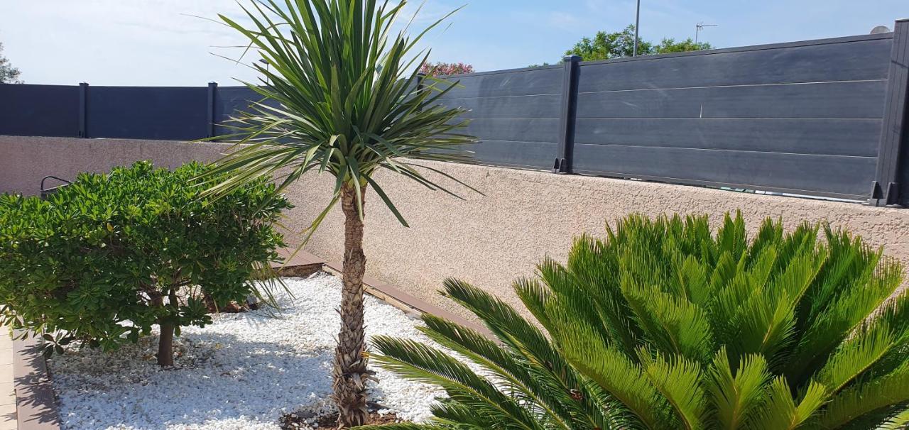 La Villa de l'Olivier piscine privée et parking Carcasona Exterior foto